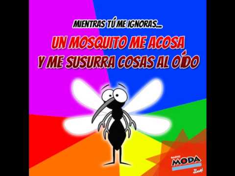 Show de carloncho: Miercoles de la gentita 17 Junio 2015