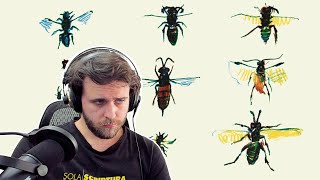 SONG REACTION: Syd Barrett — Wined and Dined