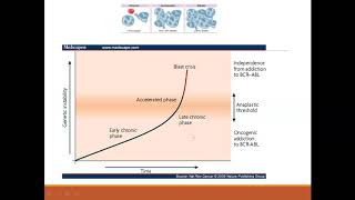 Neoplasias mieloproliferativas crónicas