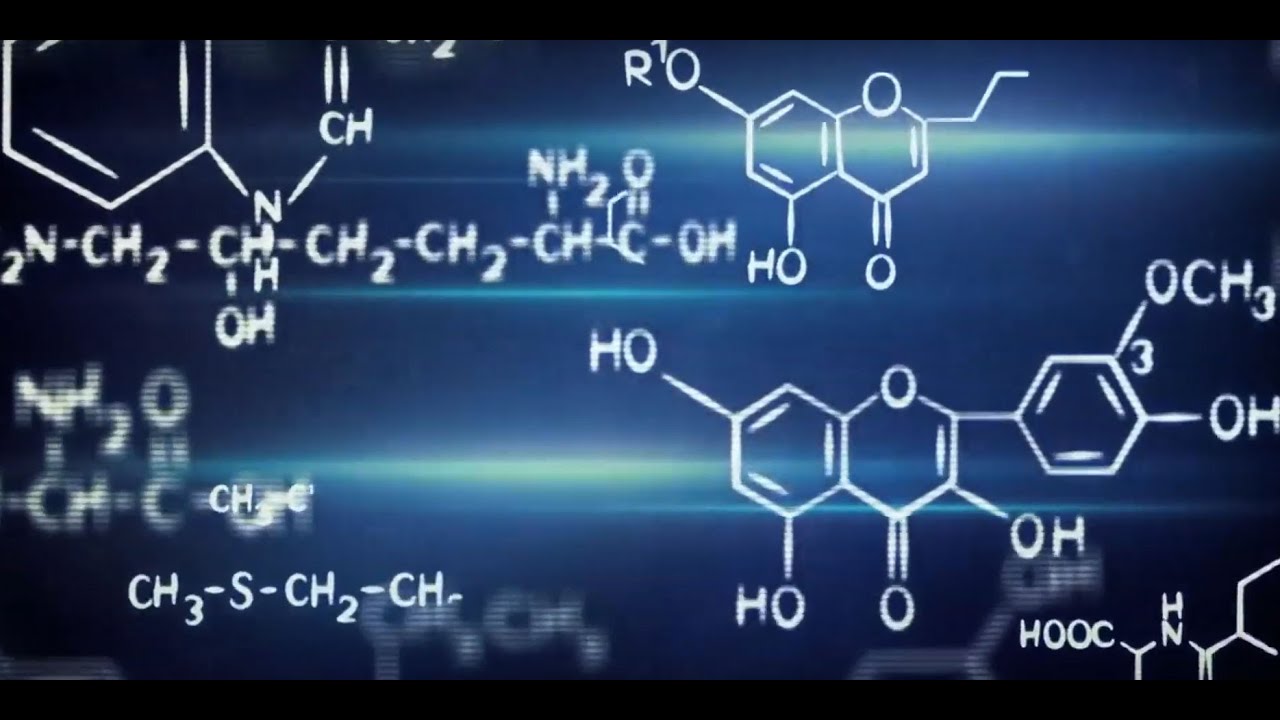 Zuckerman STEM Program - Alon Grinberg Dana