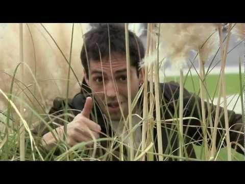 David Guapo Microsoft: en la biblioteca