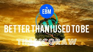 Better Than I Used To Be (Lyrics) - Tim McGraw