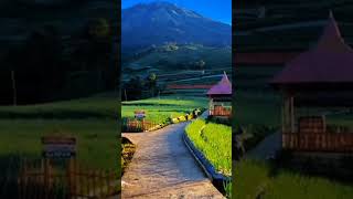 Download lagu jalan pedesaan nya sangat bagus mp3