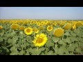 Андрей Селиванов - Когда я смотрю на небо 