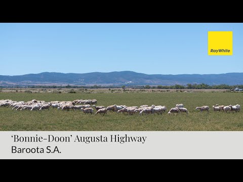 'Bonnie-Doon' Augusta Highway, Baroota, Barossa - Yorke - Mid North, 0 ห้องนอน, 0 ห้องน้ำ, Lifestyle Property