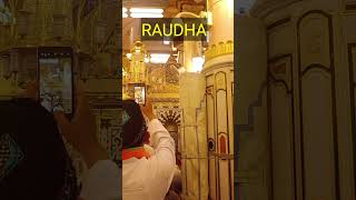 Download lagu raudhah masjid nabawi makam Rosulullah mp3