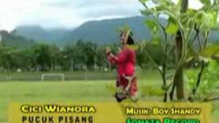 Download lagu Pucuk Pisang - Cici Wianora mp3