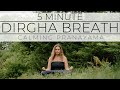 Dirgha Pranayama to Calm the Nervous System // 5 Minutes Ally Boothroyd