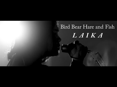 Boruto: Naruto Next Generations Laika Bird Bear Hare and Fish