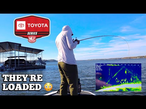 This MEGA School on Grand Lake Could Win Me $200K!!!