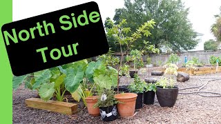 Tropical Garden Tour: Last Look as Hurricane Helene Hits