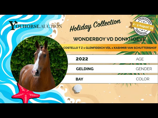 Wonderboy vd Donkhoeve