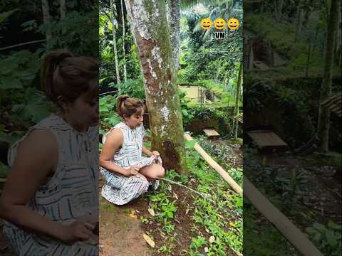 #timelapse, start to finish alone build log cabin (wooden house), how to build wooden cabin, surviva