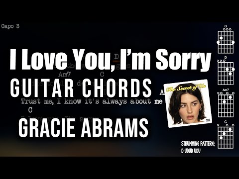 I'm Sorry I Love You - Magnetic Fields
