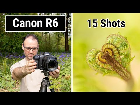 Focus Bracketing in the Field with My Canon R6 - Step by Step (And Macro Photography Tips)