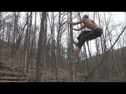 How to Climb Trees Without Branches