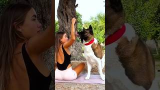 POV - You Try to Exercise, Your Dog Says No #funnydogs #doglover #funnyshorts #doglife #viralshorts