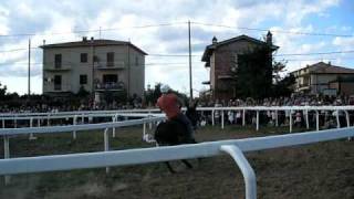 preview picture of video 'Palio dei somari pitigliano 2010 2°'