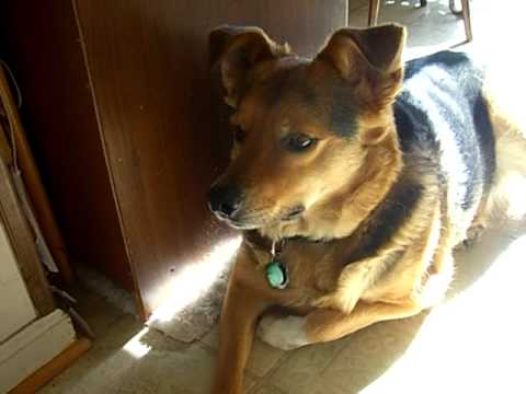 Rakiya - Video 002 - January 2006