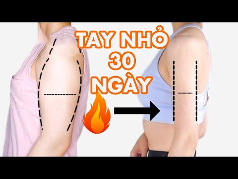 8 Min Arms Workout in 30 DAYS |  No Equipment