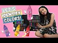 LET’S IDENTIFY COLORS! | Zydel Zhane