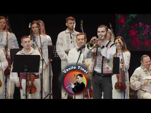 Festival-concurs Barbu Lăutaru Bălți Ediția-1(2023) Premiul Mare Vasile Tinei