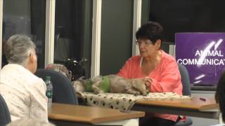 Animal Communication: How Animals Teach Us