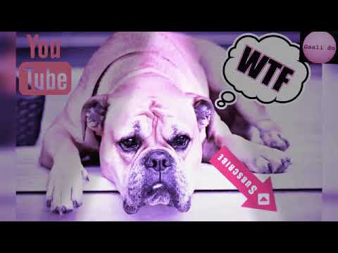 AAJA MERI RANI ZARA PAAS TO AA