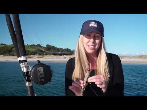 The Ultimate live bait set up for kingfish