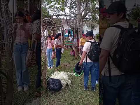 procesamiento del fique