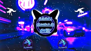 Download lagu 伯虎说DJ (DJ抖音版2025) Bác Hồ nói (remix0.9) (Douyin Remix 2025) mp3