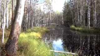 preview picture of video 'Seitsemisen kansallispuisto  Liesijärvi 5.10.2014'