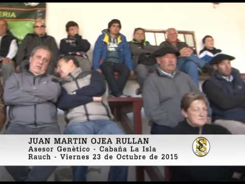 23-10-15 Nota Juan Martin Ojea Rullan - Cabaña La Isla - Rauch.