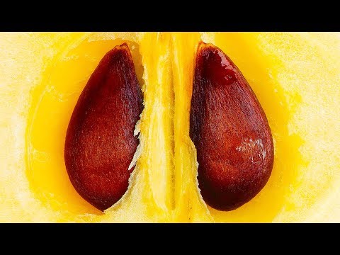 Vitaprost und vitaprost und Unterschiede Dizuricheskie Störung Prostatitis