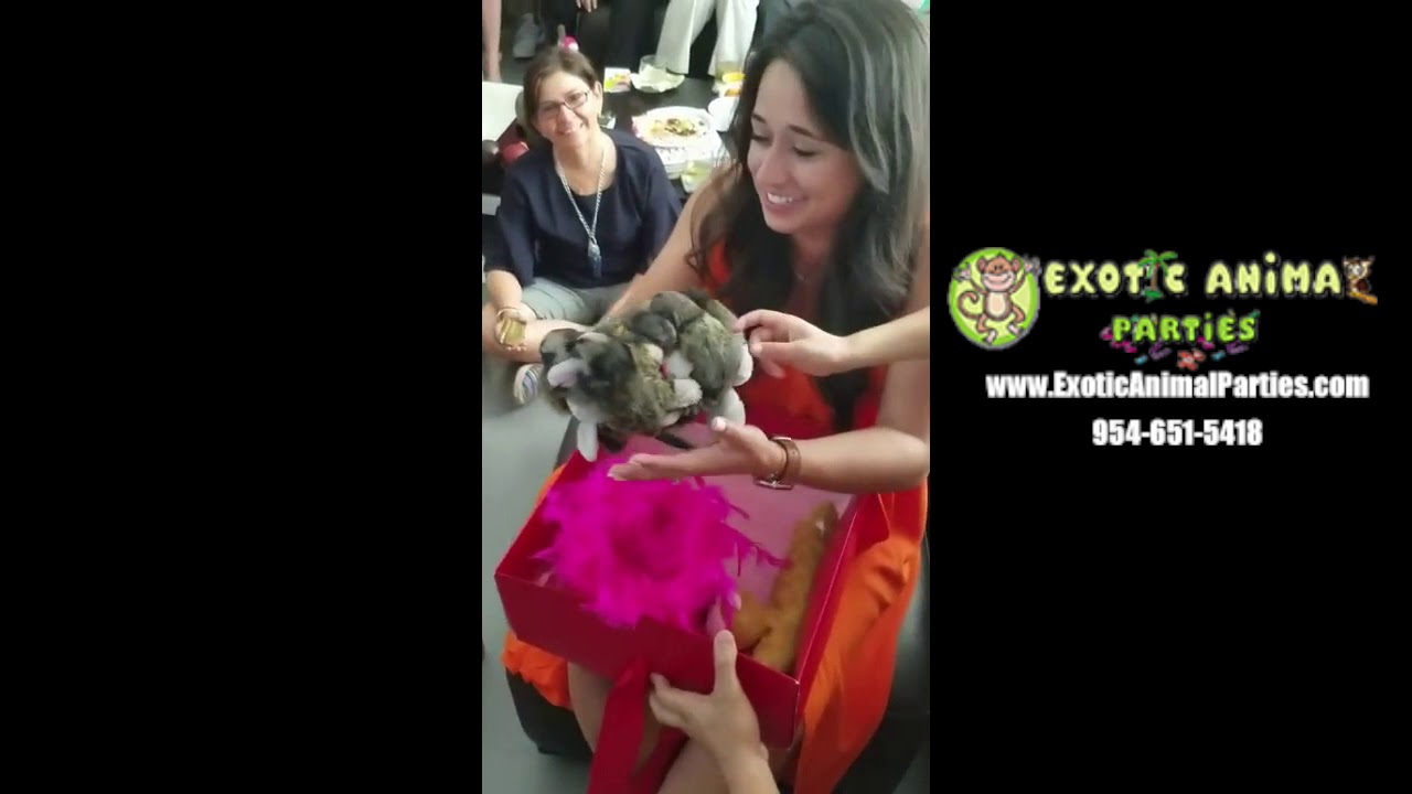 Promotional video thumbnail 4 for Exotic Animal Parties