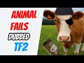 Animal Fails Dubbed With Tf2 Mercs
