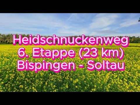 Heidschnuckenweg 6. Etappe (23 km) Bispingen - Soltau