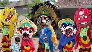 Download lagu IN BROAD AFTERNOON, PEMBARONG FAHRI AND FAJAR PLAYED THE TIGER BARONGAN AND COLORFUL BARONGSAI mp3