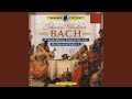 Brandenburg Concerto No. 1 in F Major, BWV 1046: IV. Menuetto - Trio - Menuetto - Polonaise -...