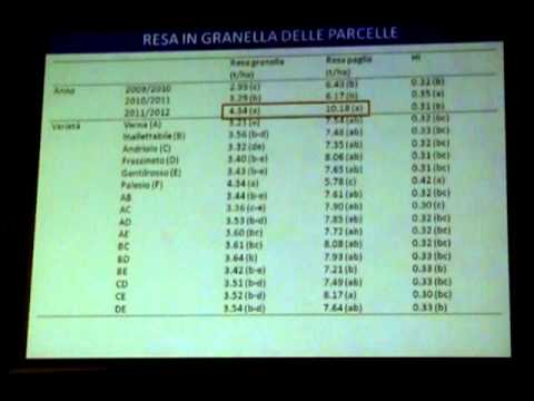 Giovanni Dinelli : Frumenti antichi per l'agricoltura biologica : progetto Virgo