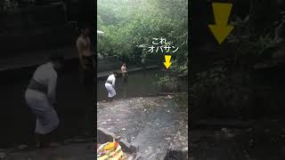 カメラがとらえた！バリ島、悪霊退治の瞬間！#shorts