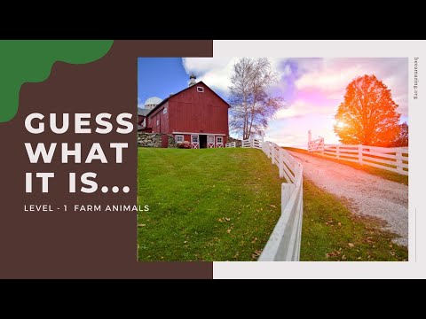 Can You Guess What It Is? A Fun Farm Animals Activity Video for Seniors