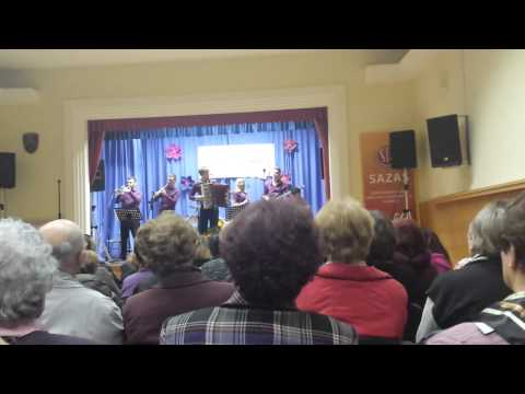 Grajski kvintet - Bela Laboda (S&V Avsenik)