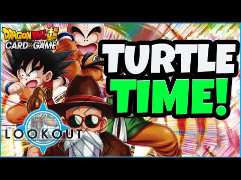 TURTLE SCHOOL ARCHETYPE BREAKDOWN!