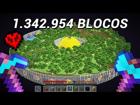 TRANSFORMEI O THE END EM OVERWORLD EM 100 DIAS NO HARDCORE