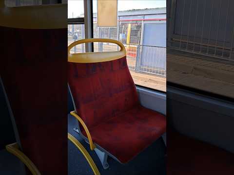 MAN LION'S CITY #mza