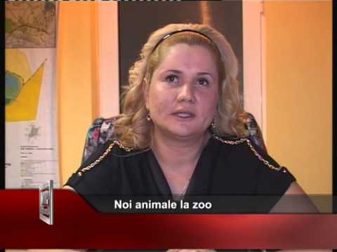 Noi animale la zoo