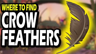 Where to find CROW FEATHERS in Grounded 1.0