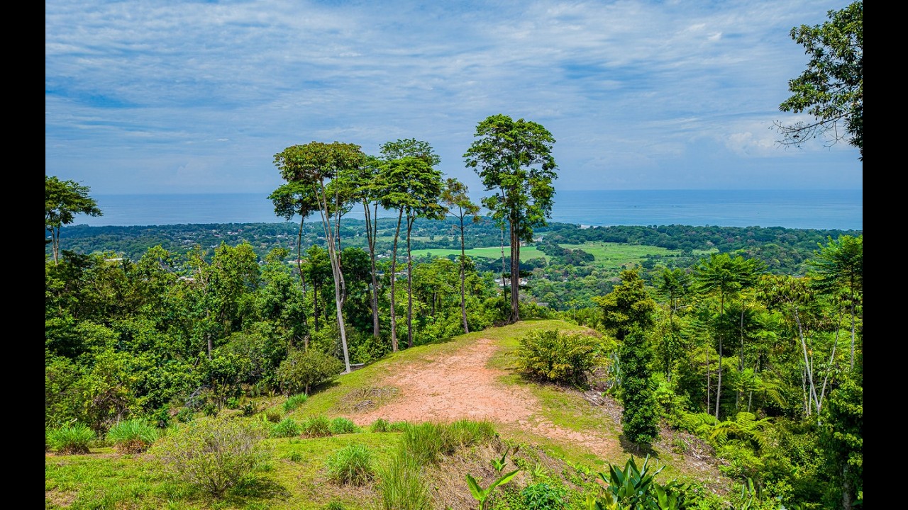 Premier Whale’s Tail View Development Property with Tiny Home in Uvita