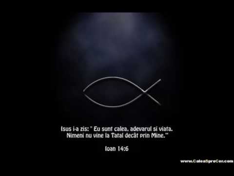 Adi Pop   Calea, Adevarul si Viata